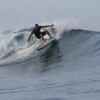 Sumatra BoatTrip